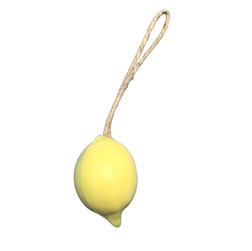 Savon hydratant forme Citron sur corde 120 g
